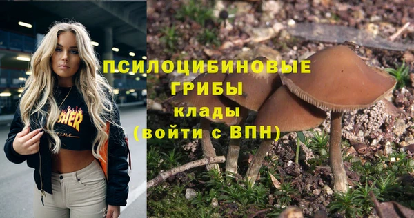 mix Арсеньев