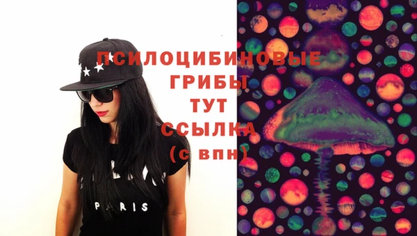 ECSTASY Армянск